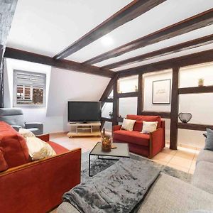 Les Lionceaux, 120M2 A Colmar, Place De Parking Gratuite